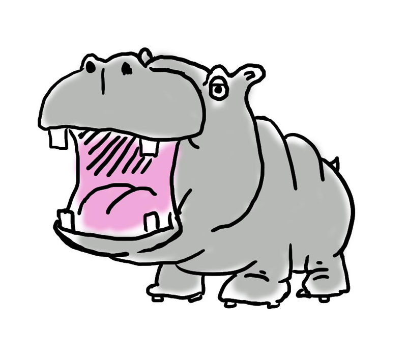 hippo