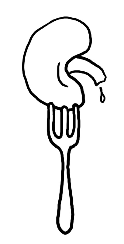 kidneyfork
