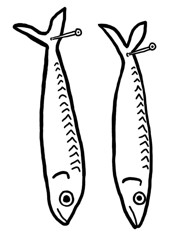mackerel
