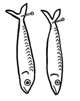 mackerel