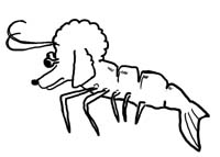 poodle_crab