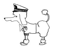 poodlesuit